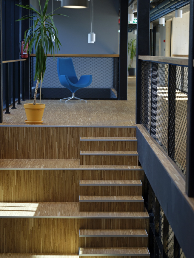 ������ �������� Elering. ���� � Kalle Veesaar