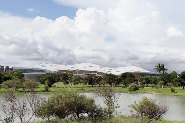 ����� ��������������� �������� ������. ���� � NAARO