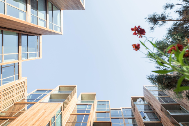 ����� �������� 79&PARK. ���� � Laurian Ghinitoiu