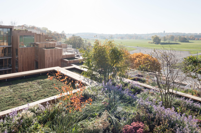 ����� �������� 79&PARK. ���� � Laurian Ghinitoiu