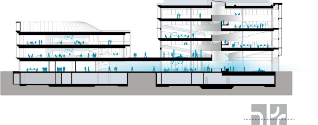 ����� ��������� �������� Merck. ���� � HENN