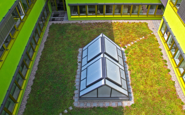 BioCube � ��������. ���������� � ZinCo