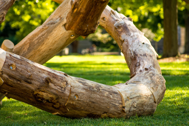 LOG KNOT. ���������� � Jeremy Bilotti