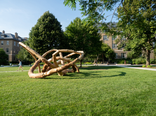 LOG KNOT. ���������� � Cornell Robotic Construction Lab