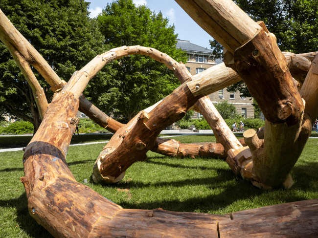 LOG KNOT. ���������� � Cornell Robotic Construction Lab
