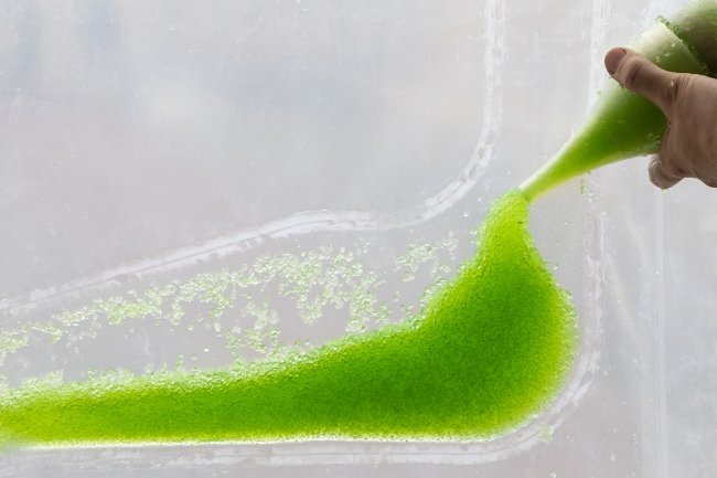 PhotoSynthEtica. ������ ecoLogicStudio. ���������� � NAARO
