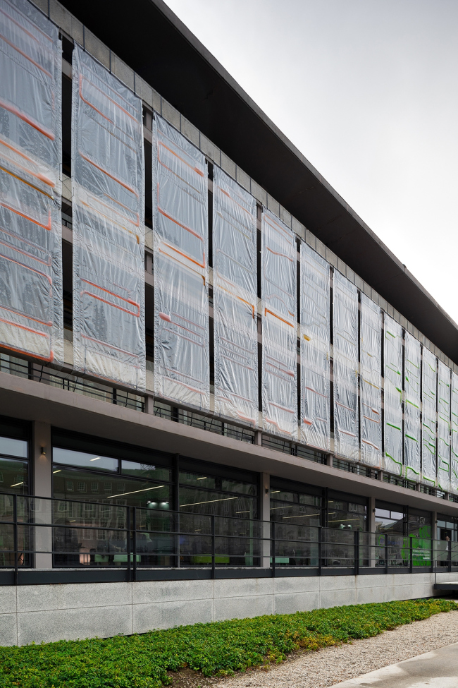 PhotoSynthEtica. ������ ecoLogicStudio. ���������� � NAARO