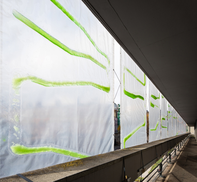 PhotoSynthEtica. ������ ecoLogicStudio. ���������� � NAARO