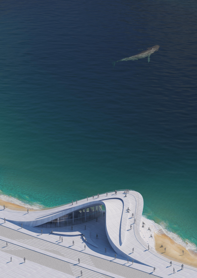 ����������� ����� � �����������. ������-���������� �������� ���� � ������������� ������ ���������� ������������