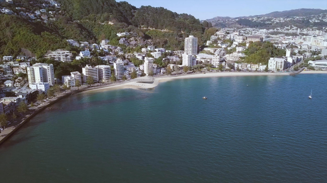 ����������� ����� � �����������. ������-���������� �������� ���� � ������������� ������ ���������� ������������