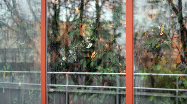 ��� �� ������ ��� �������. ������ ���������� ��������� � ������. ������� �������, 1935-1938. ����������: ����.��