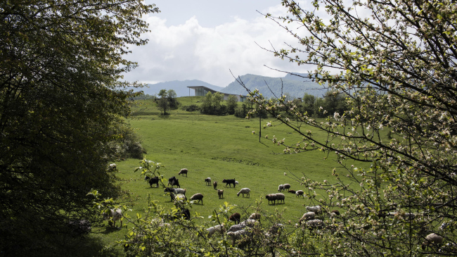 ����� ����� � ��������� ������� � Ieva Saudargaite