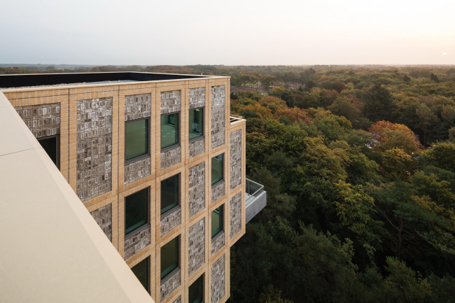 ����� Belvedere � Bas Gijselhart