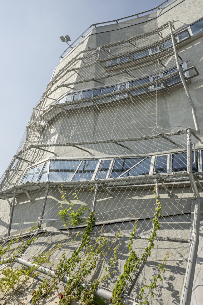 ������ ����������� � ���������� ������ ��� ����-�����-�����. ���� � Hertha Hurnaus