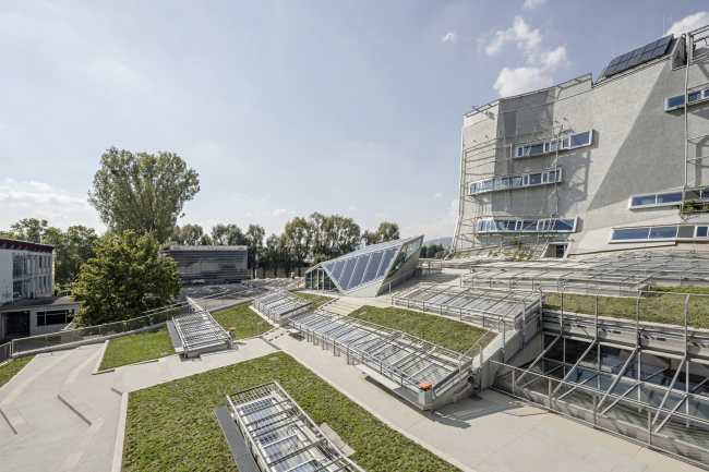 ������ ����������� � ���������� ������ ��� ����-�����-�����. ���� � Hertha Hurnaus