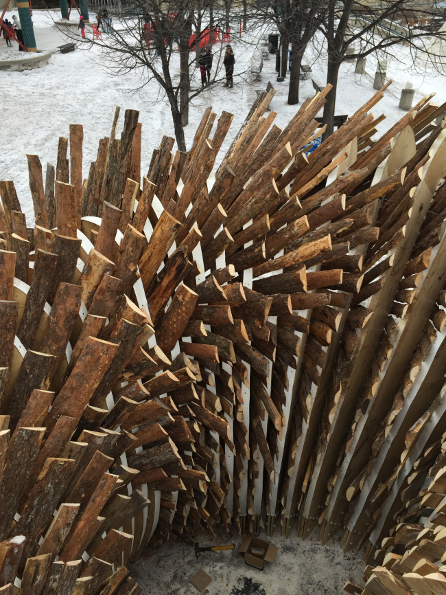 �������� Hybrid Hut � ���������. ���� �  Rojkind Arquitectos