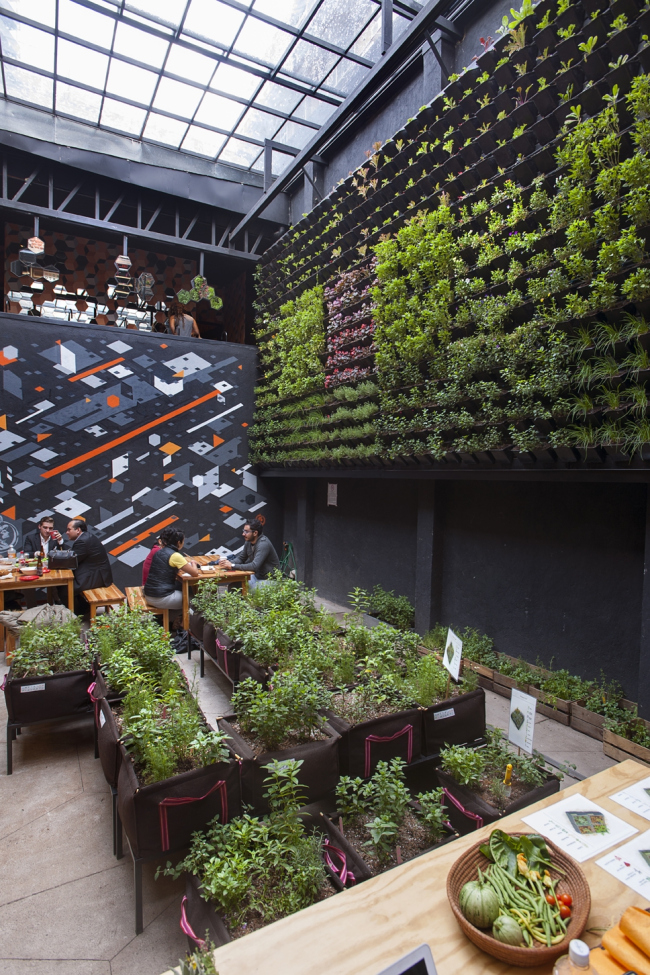 ���������������� ����� � ������ Mercado Roma. ���� � Rojkind Arquitectos, �������� Jaime Navarro