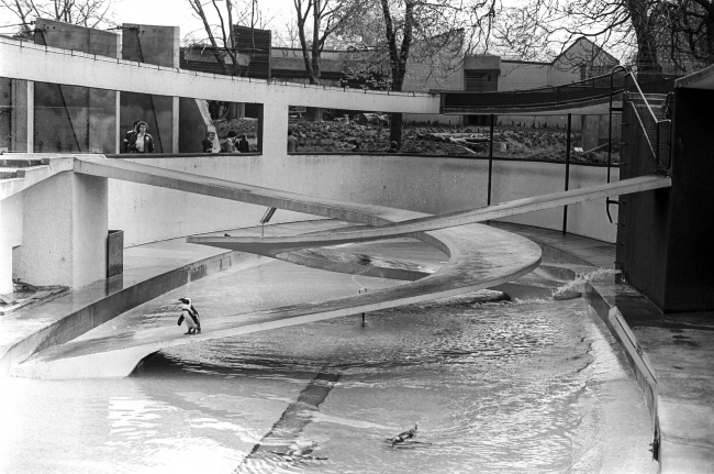 ������ ��� ��������� � ���������� ��������. ���������� �������� ��������. �������� CC BY-SA 4.0. ����� ���������� gillfoto