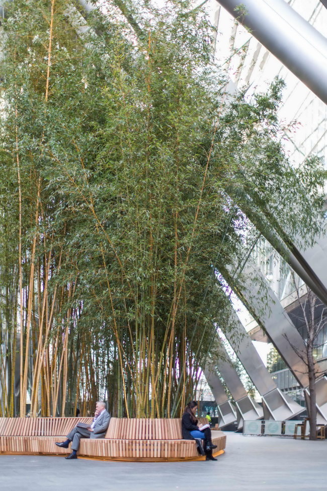 ��������-����� � DSDHA