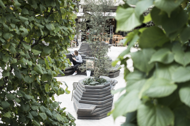 ��������-����� � Luca Miserocchi