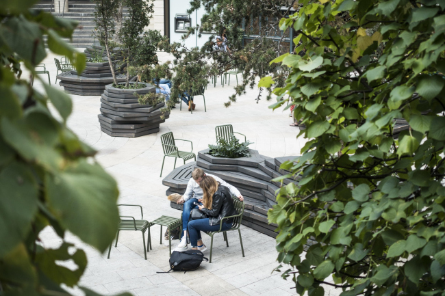 ��������-����� � Luca Miserocchi