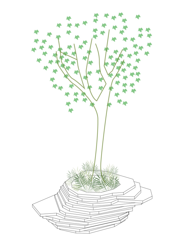 ��������-����� � DSDHA