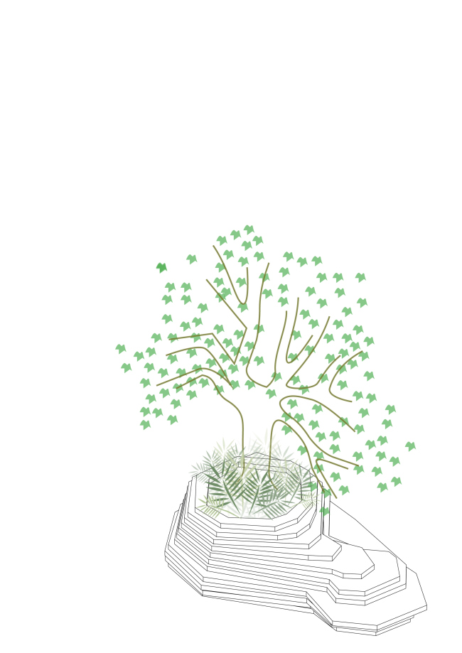 ��������-����� � DSDHA