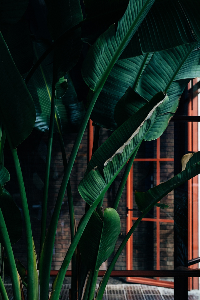 ����� Stamba, �������. ���������� ������������� ��������� Adjara Group