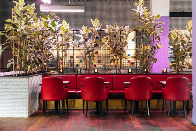 ����� Stamba, �������. ���������� ������������� ��������� Adjara Group