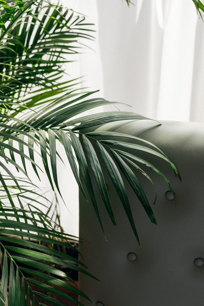 ����� Stamba, �������. ���������� ������������� ��������� Adjara Group