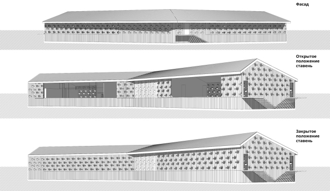 ������������-����������������� ��������� �������� ���� ����������. ���-����/������-��������� ���������� �����. ������������� ���� 