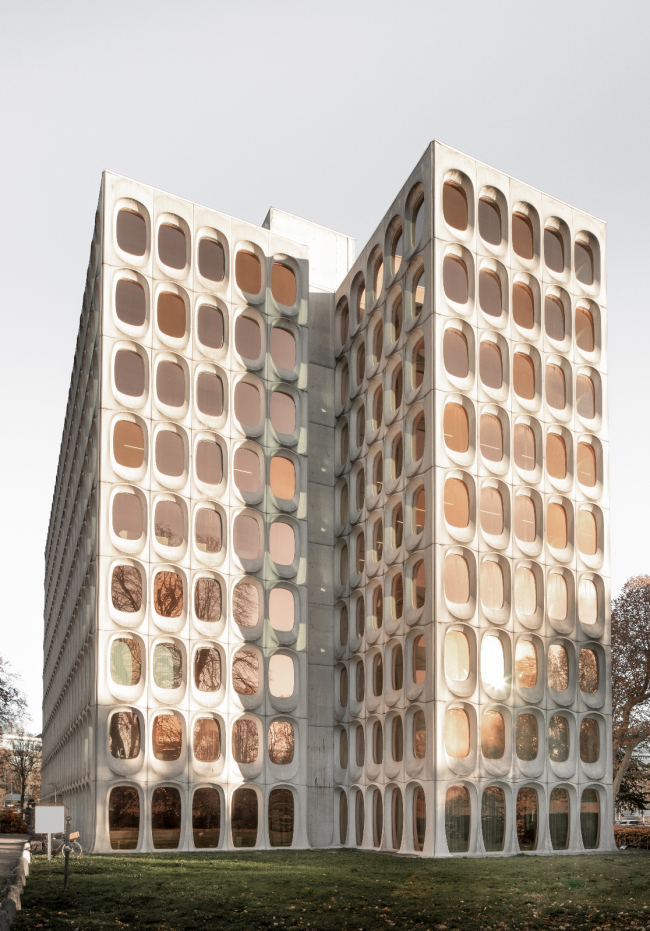 ������� ������  Boitsfort �������� Fosbury & Sons. ���� � Jeroen Verrecht