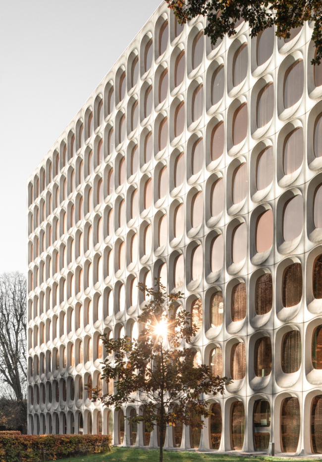 ������� ������  Boitsfort �������� Fosbury & Sons. ���� � Jeroen Verrecht