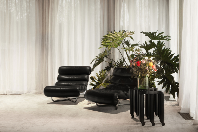 ������� ������  Boitsfort �������� Fosbury & Sons. ���� � Jeroen Verrecht