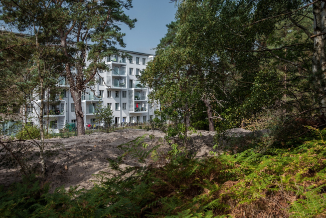 ��������� �������� ����� �� ������� �����. ���� � ����� ������