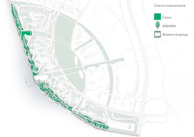 The concept of landscaping the pedestrian areas and public territories on the alluvial lands of the Neva Bay. Planting diagram. Copyright:  Studio 44