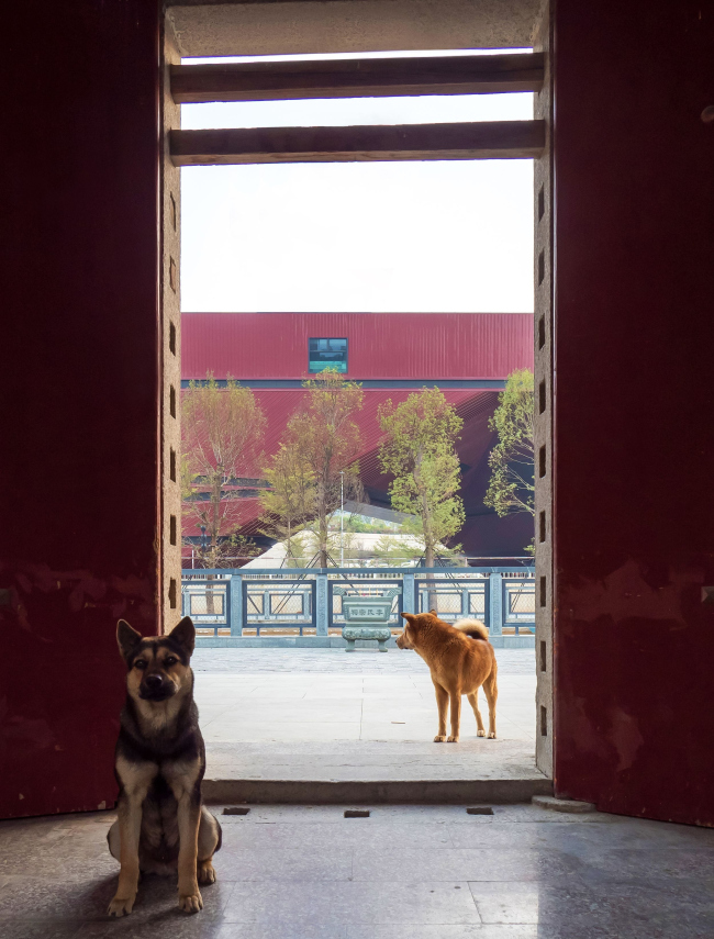 ���������� ����� ������ ������. ���� � Zhang Chao