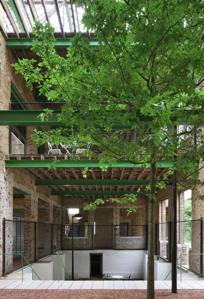 ��������������� ����� Caritas. ���� � Filip Dujardin