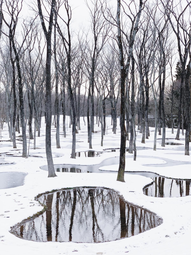 ������ ��� � ���-���������� Art Biotop Nasu. ���� � Junya Ishigami + Associates 