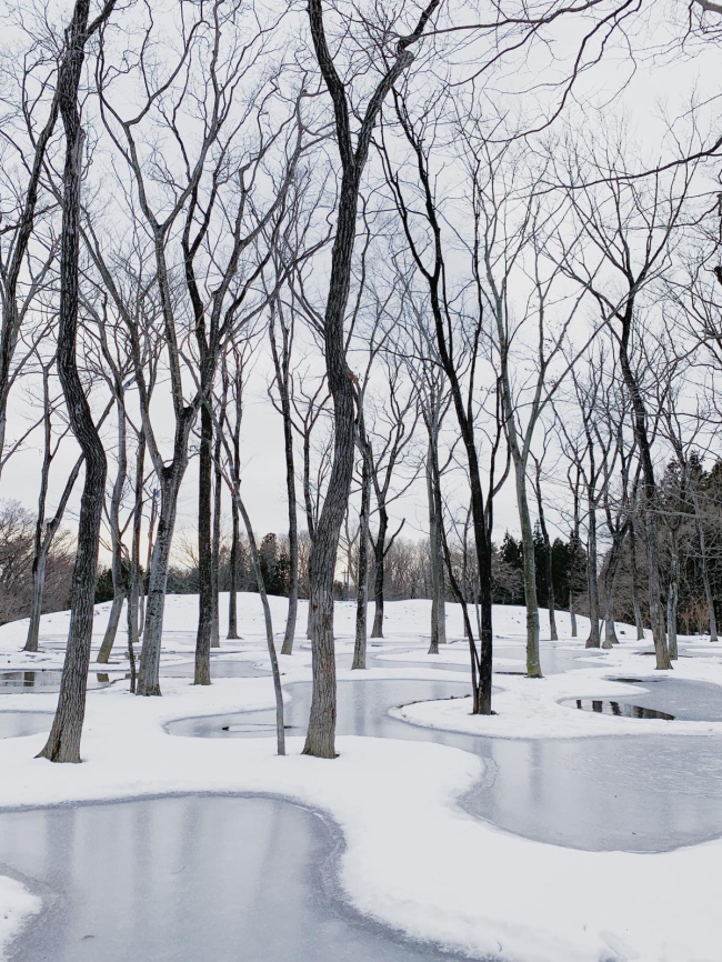 ������ ��� � ���-���������� Art Biotop Nasu. ���� � Junya Ishigami + Associates 
