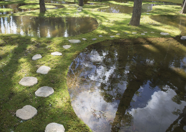 ������ ��� � ���-���������� Art Biotop Nasu. ���� � Junya Ishigami + Associates 