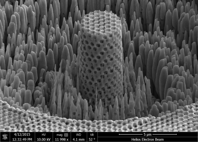 �������� ��� �����������