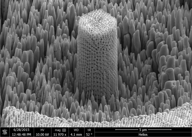 �������� ��� �����������