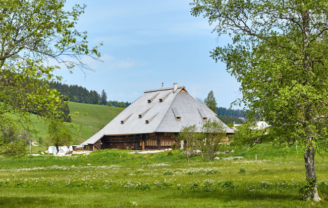 ������� ���������������� � ظ������� ���� ���������. ����������� Gössel + Kluge