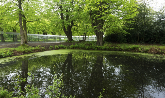 �������� � ����� �����������