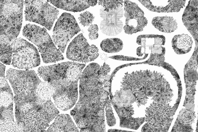 �������� � ����� �����������