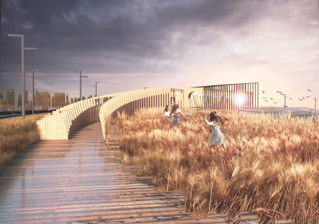 ���� ����