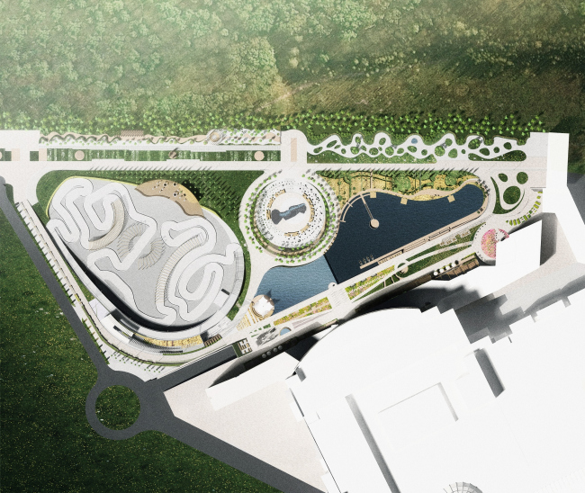 ���� ����