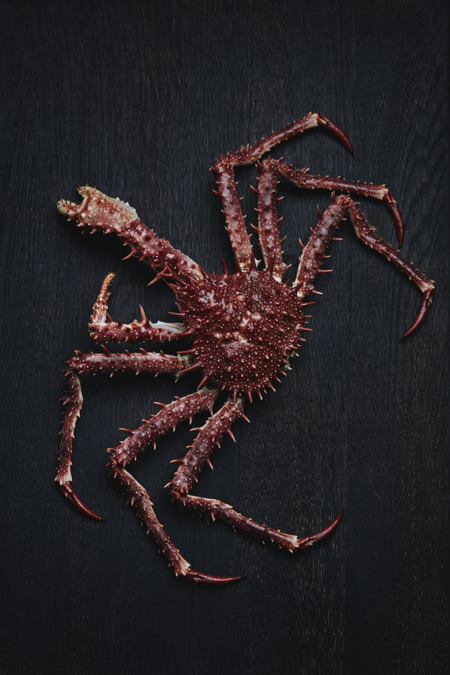 ��������� �������� Under