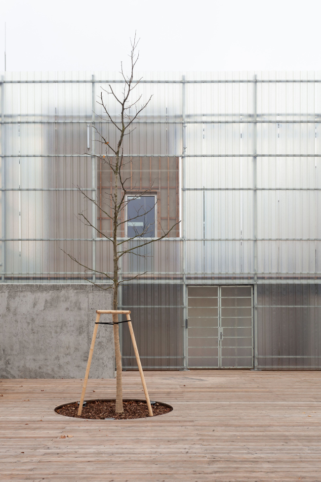 ������� ��� ����-����